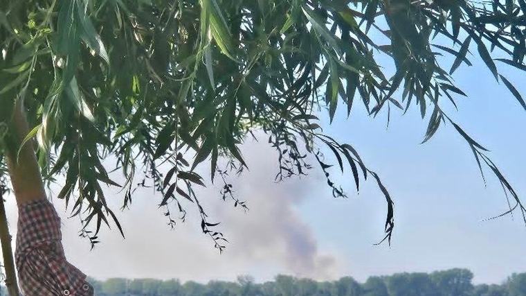 PONOVO IZBIO POŽAR U DELIBLATSKOJ PEŠČARI! Jak vetar i podzemna žarišta prave problem
