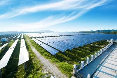 Neobičan prizor: 5.150 solarnih panela visi iznad stabala, a evo zašto su postavljeni na tačno 4 metra visine