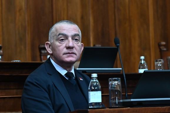 Vujić: Mladić sahranjen kako je porodica odlučila, država osigurala bezbednost