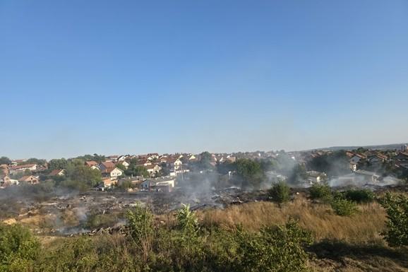 (FOTO) POŽAR LOKALIZOVAN Vatrogasci obuzdali vatru u Smederevskoj Palanci: Ekipe i dalje u pripravnosti