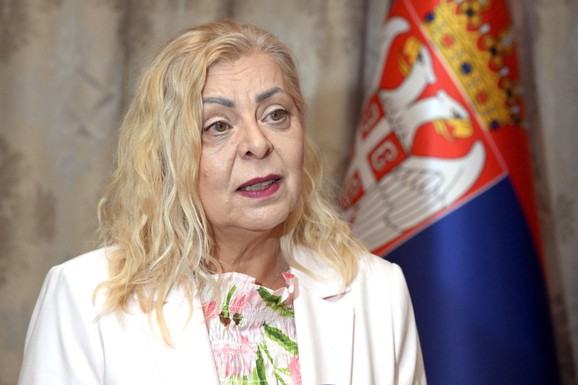 Sofronijevićeva: Soko počeo provere na mađarskom delu pruge Beograd