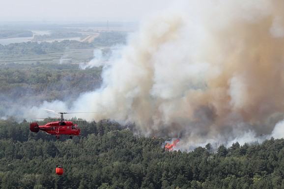 "SVE SLUŽBE SU U PRIPRAVNOSTI" Oglasila se ministarka Pavkov o požaru u Deliblatskoj peščari: Pratimo situaciju iz sata u sat