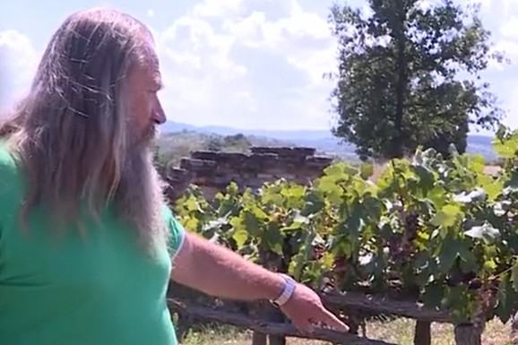 SPAVALA JE DUBOKO U ZEMLJI 15 VEKOVA, A ONDA JE PROBILA CARSKI KAMEN! Čuvar Caričnog grada Dragan usred šipražja uočio čudan prut, a njegov prvi rod doneo NEZAPAMĆENU SENZACIJU